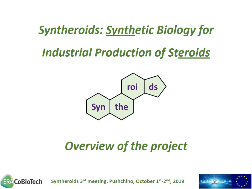 00 3rd meeting Pushchino Overview