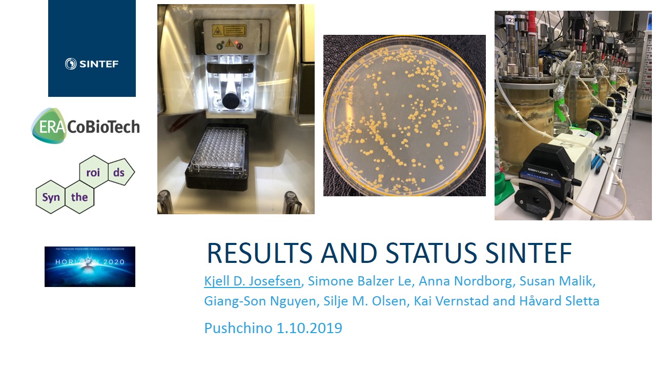 03 SINTEF Kjell Presentation pushchino