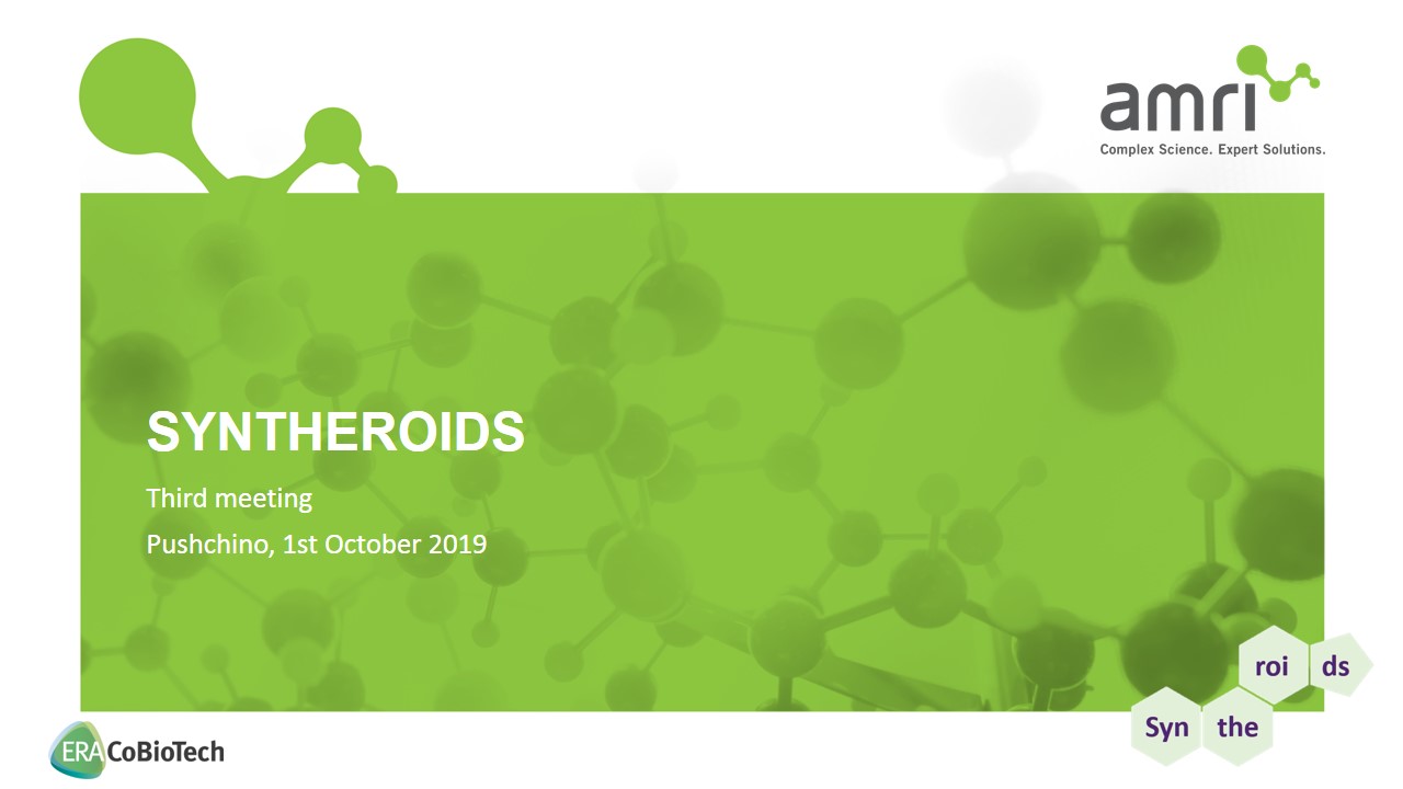 05 Syntheroids Meeting PushchinoBIONICE